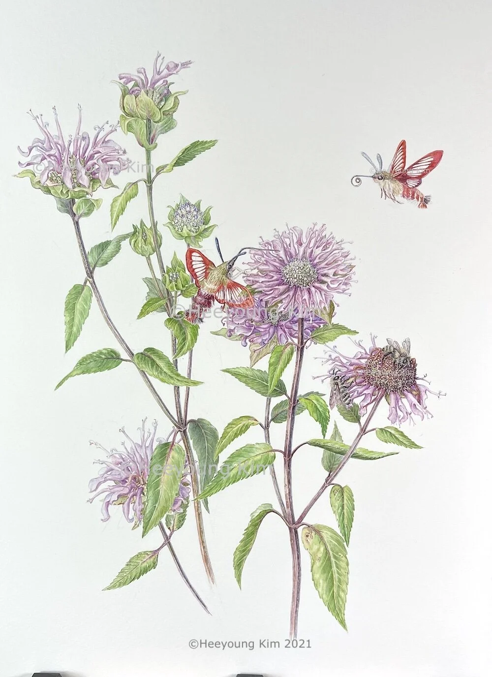 Botanical Art by Heeyoung Kim-Project200